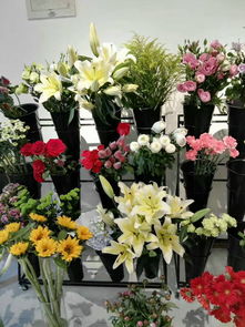 渝北區(qū)鮮花配送 愛(ài) 花兒精品花屋
